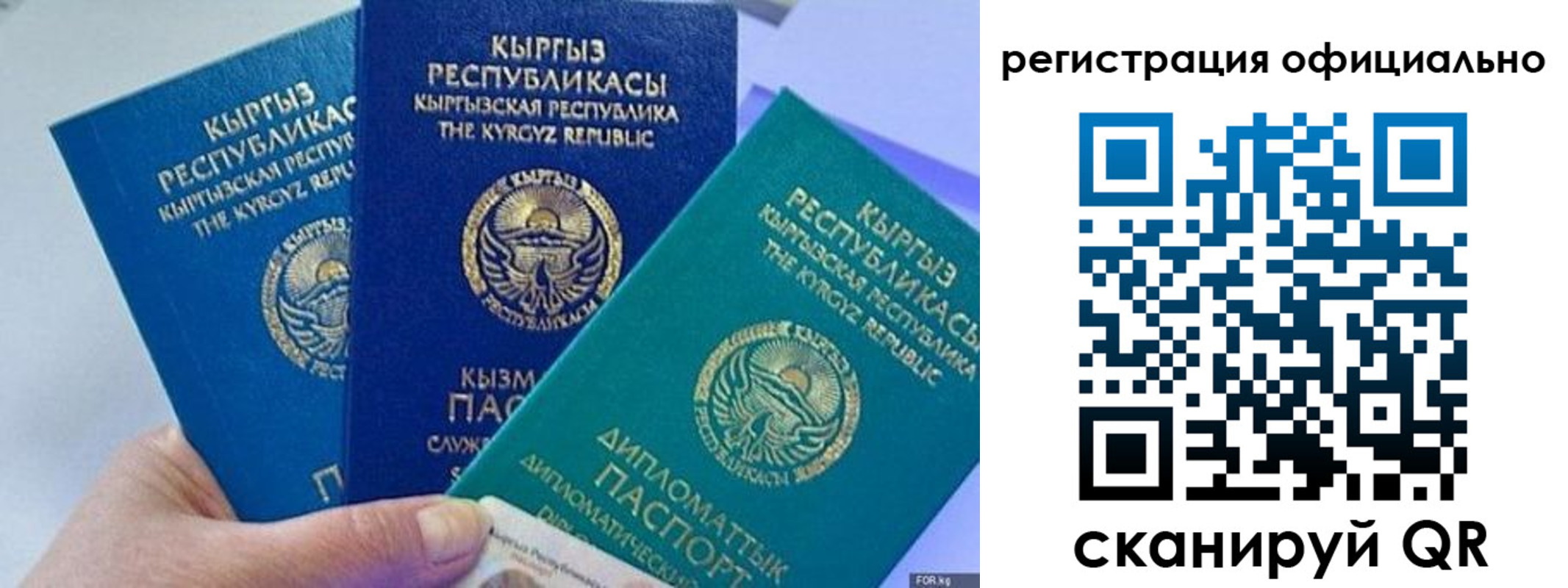 прописка в Липецкая области